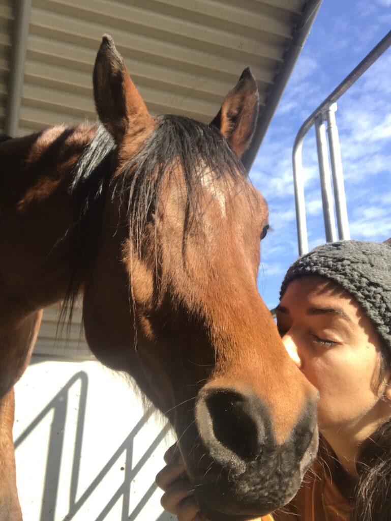 Unser Pferd Bangelis und Ich am Sonne tanken und einfach Sein